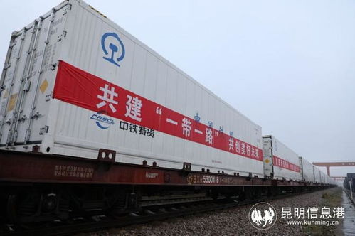中老鐵路玉溪至萬象國際貨運冷鏈列車正式開行，助力跨境物流新發展